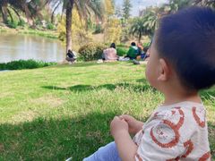 -枫香湖儿童公园