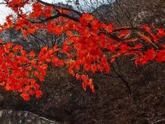 -抱犊寨风景区