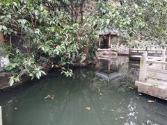 -水濂山森林公园