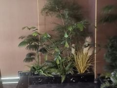 -臻享足道·HIFI影院足疗SPA(成华店)