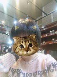 -Amber Salon艾珀沙龙