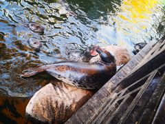 -华夏文旅海洋公园