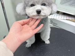 -八公叔叔宠物美容连锁(春申店)