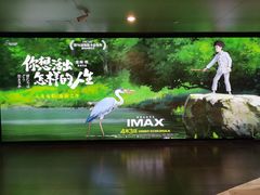 -SFC上影百联影城(八佰伴IMAX店)