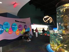 -瑞普利水族馆