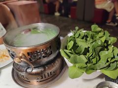 鸡汤煮鸡毛菜-初蓉丨遇见新川菜(亲贤街荣耀店)