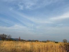 -良渚古城遗址公园