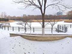 -大兴滨河森林公园