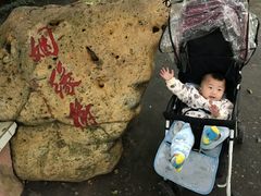 -芦苞胥江祖庙