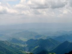 -天目山大树王景区
