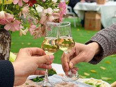 -柠檬花院烤肉·会议团建·聚会·求婚(三圣乡店)