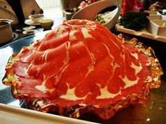 -美宁肥牛(旗舰店)