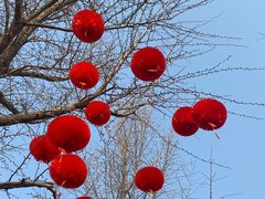 -陶然亭公园