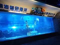 -成都浩海立方海洋公园