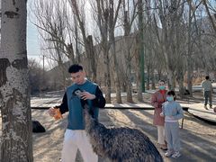 -新疆天山野生动物园