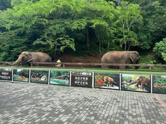 -野象谷景区