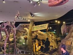 -陕西自然博物馆