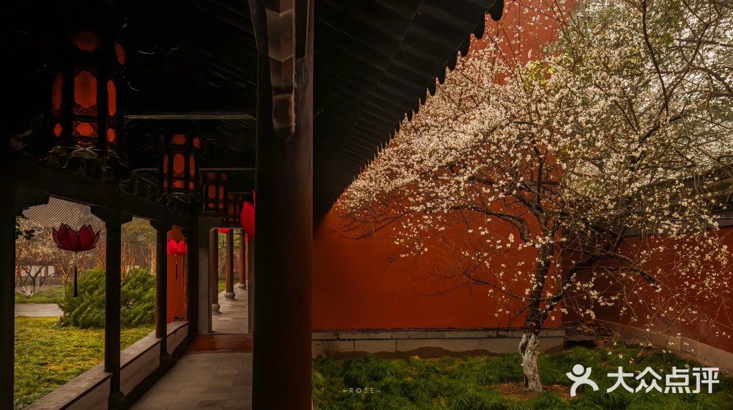 今天外卖吃什么 吃这些