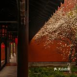 今天外卖吃什么 吃这些