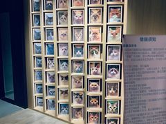 -CAT’S MEWSTAR CAFE·喵星球猫屋(晴湾咖啡店)