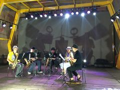 -陕西省小天鹅艺术团