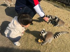 -无锡动物园·太湖欢乐园