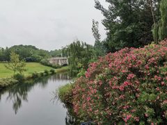 -眉山湿地公园(东坡区)