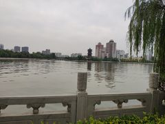 -迎泽公园