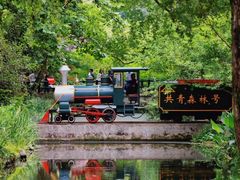 -上海共青森林公园