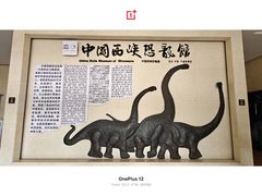 -中国西峡恐龙遗迹园