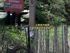 -洛阳白云山景区