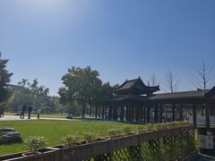 -赵州桥景区