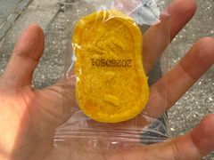 -舒蔡记生煎菜饭(云南中路店)