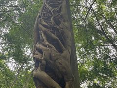 -中国科学院西双版纳热带植物园