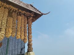 -九皇山景区