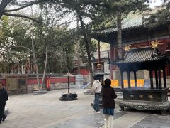 -潭柘寺景区