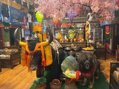 -吉祥圣雪藏餐