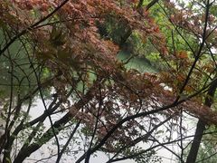 -白马涧龙池景区