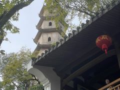 -江心屿景区
