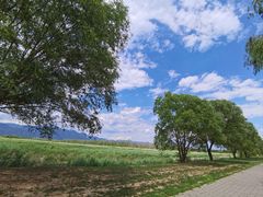 -野鸭湖国家湿地公园