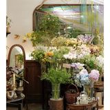 春天开在了花里花俏的地方💐