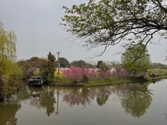 -南汇桃花村