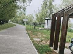 -野鸭湖国家湿地公园