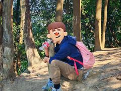 -黄埔油麻山森林公园