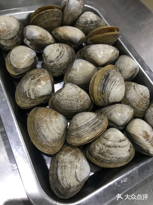 好朋友海鲜烧烤火锅(振三街店)黄蚬子图片