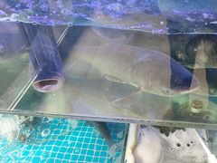 -老常州菜馆(天宁店)