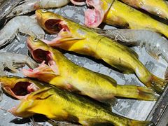 -非烤勿扰自助烤肉(深圳宝安华强广场店)