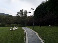 -北京宽沟会议中心