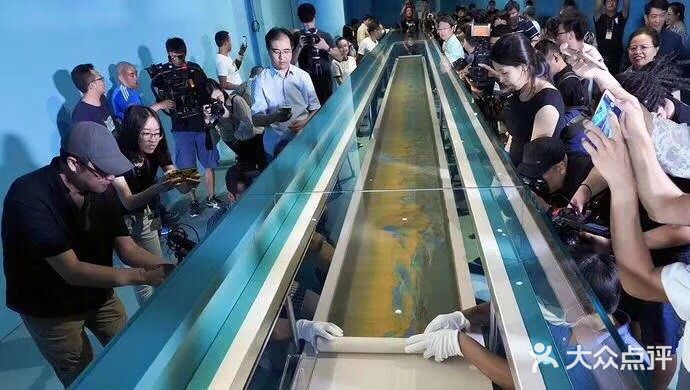 话说— —艺术网红展