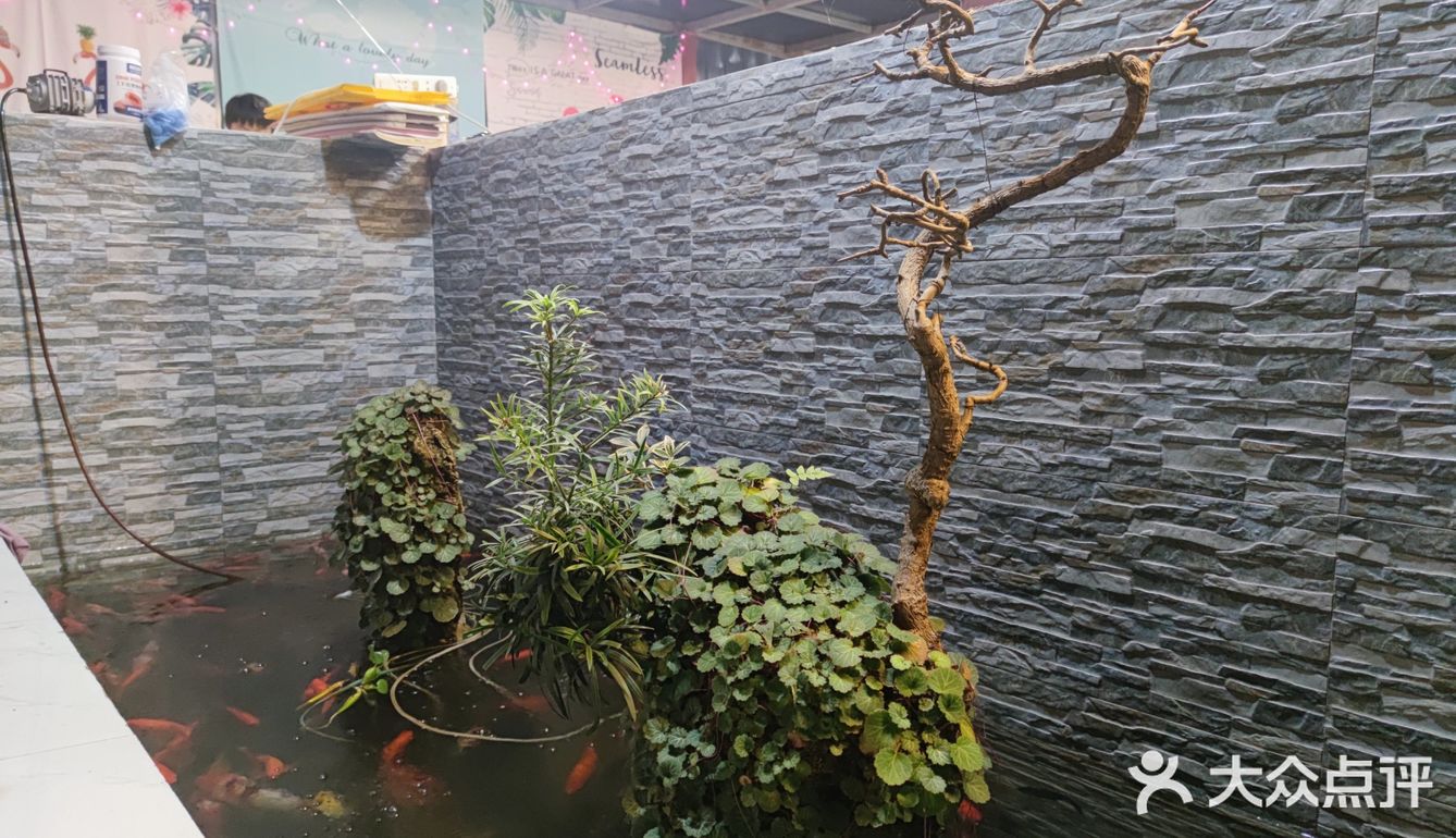 清水河畔新网红餐厅